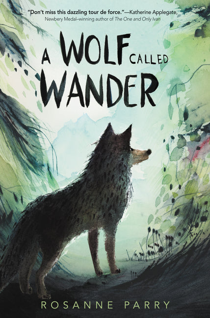 US - Hardback