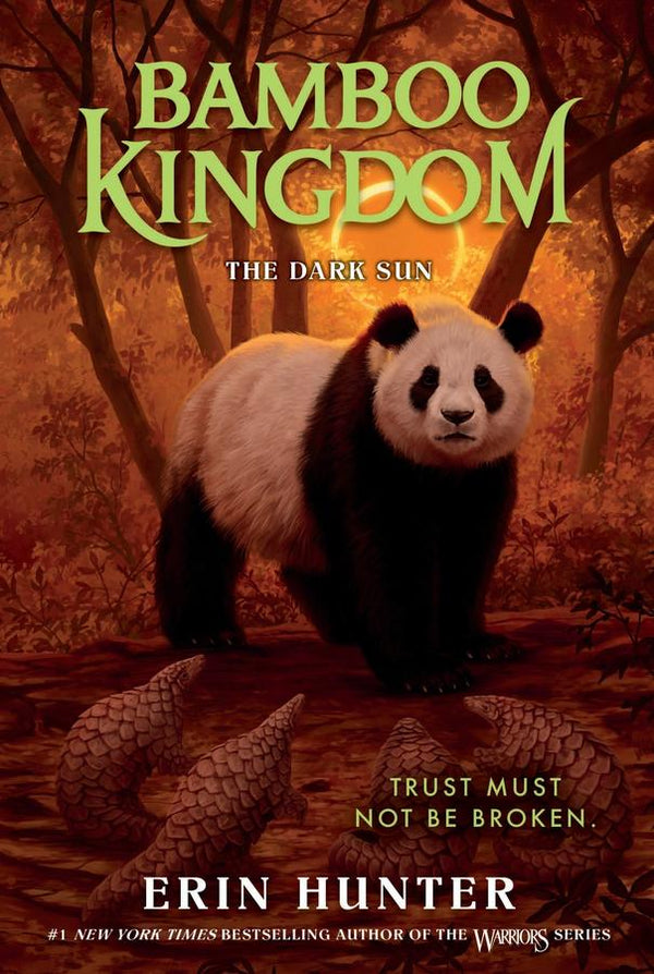 Bamboo Kingdom #4: The Dark Sun-Children’s / Teenage fiction: General and modern fiction-買書書 BuyBookBook