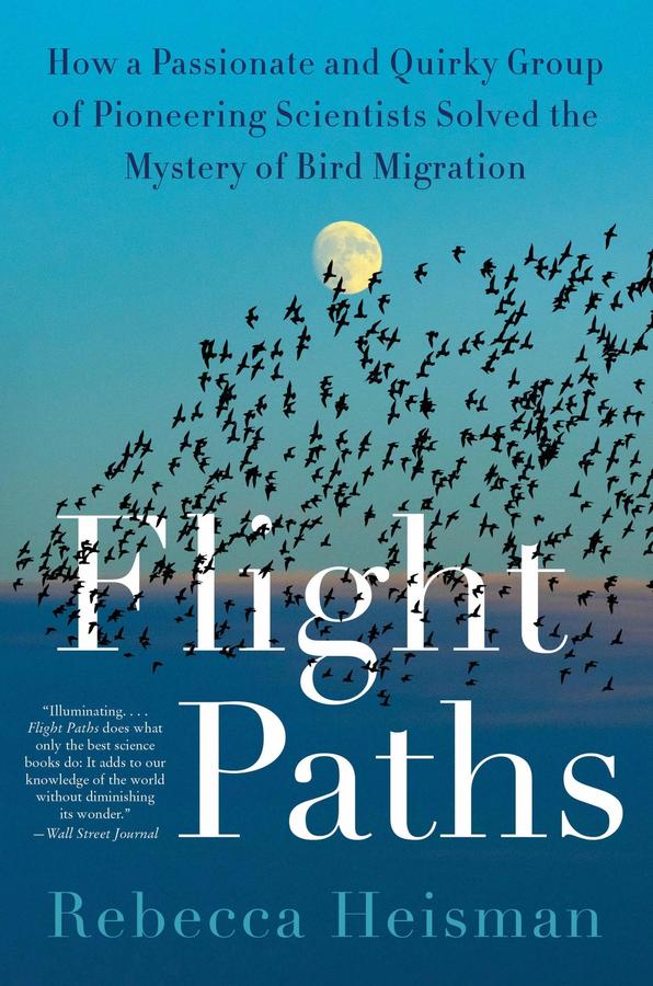 Flight Paths