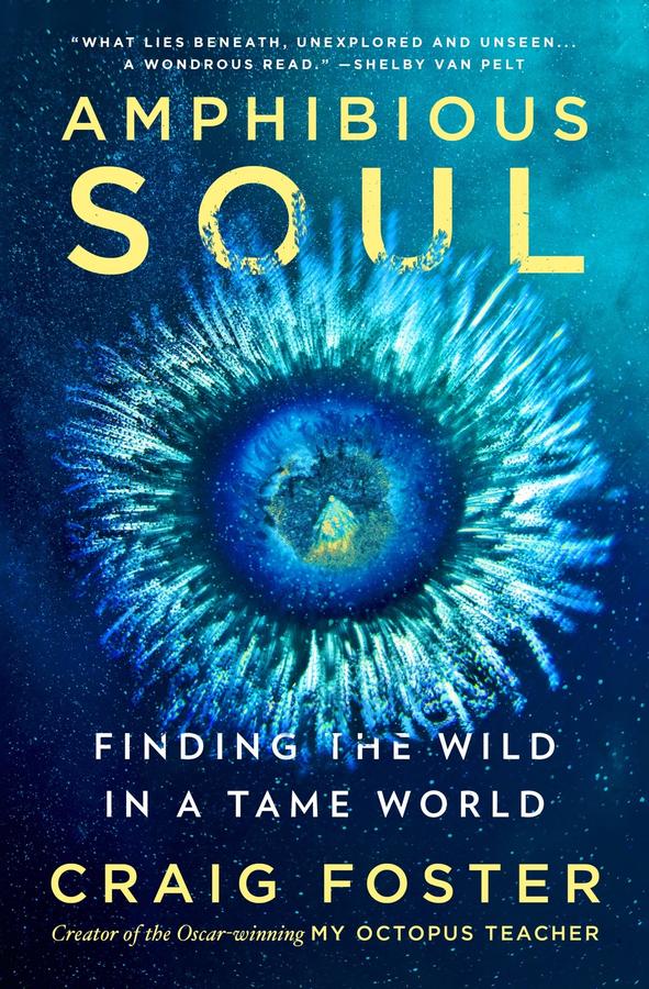 Amphibious Soul-Biography and memoirs-買書書 BuyBookBook