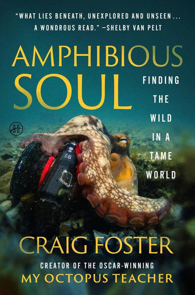 Amphibious Soul-Biography and memoirs-買書書 BuyBookBook