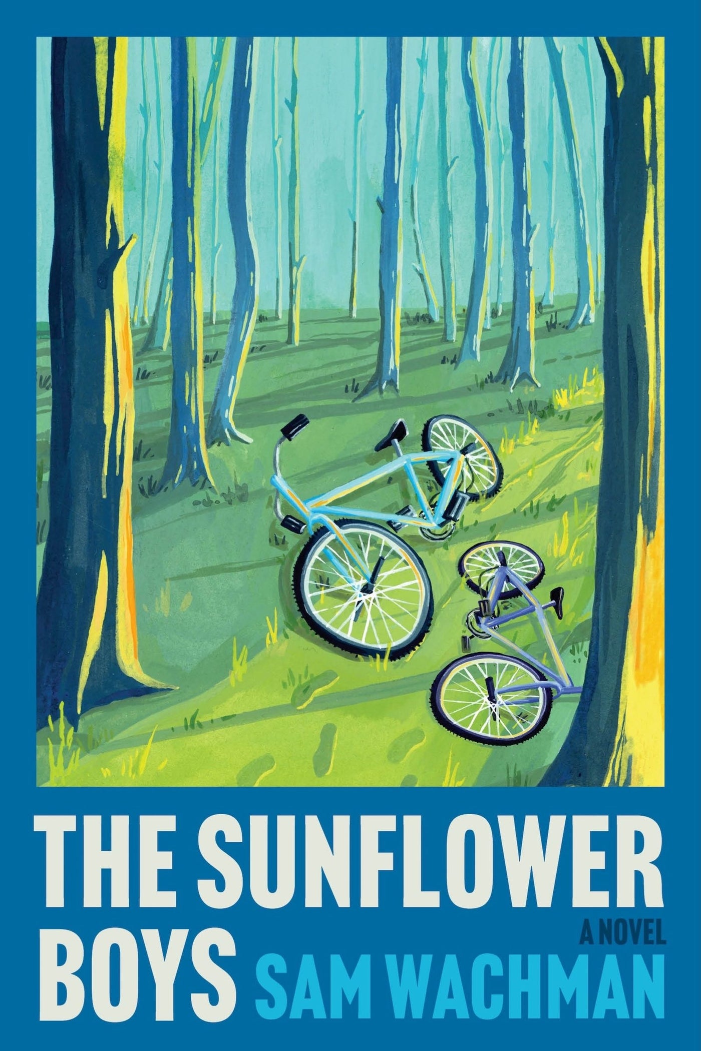 The Sunflower Boys