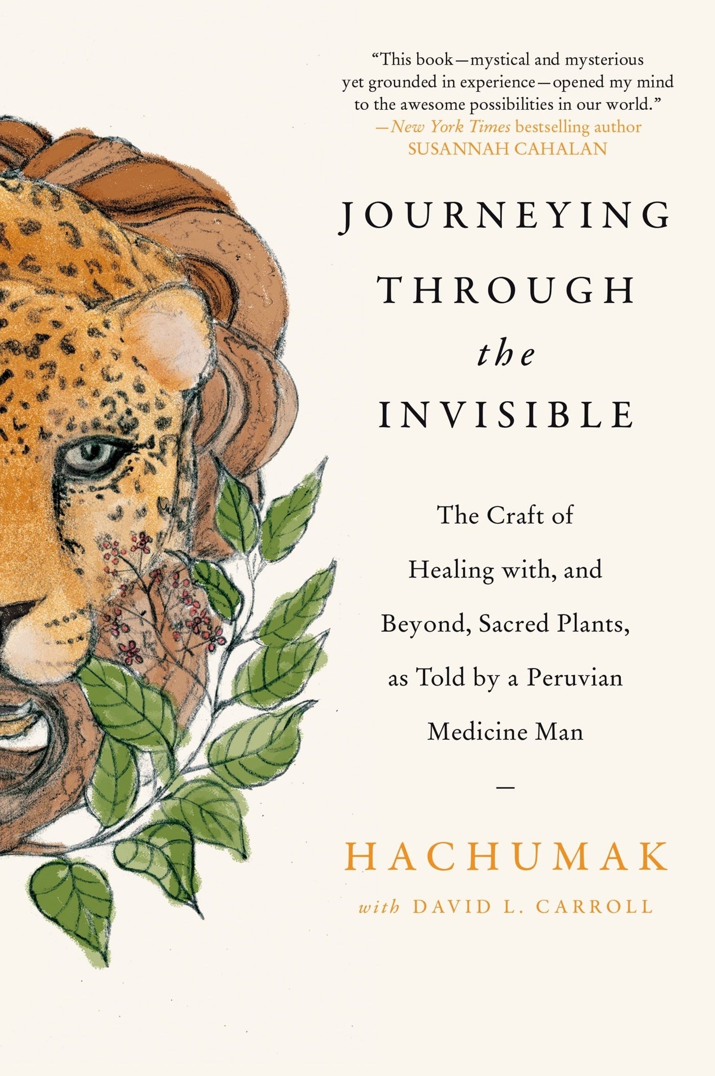Journeying Through the Invisible