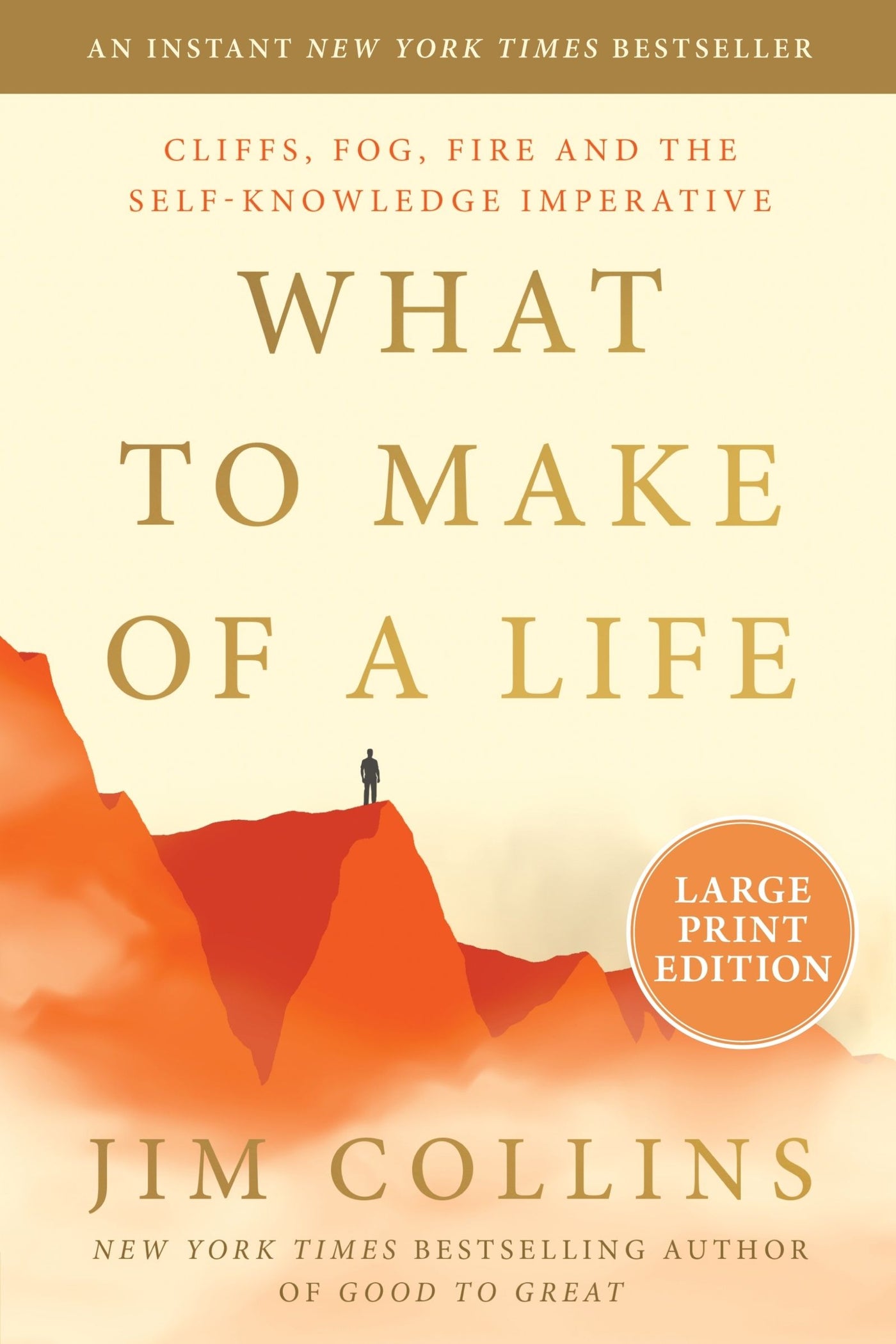 What to Make of a Life