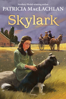 Skylark-Children’s / Teenage fiction: General and modern fiction-買書書 BuyBookBook