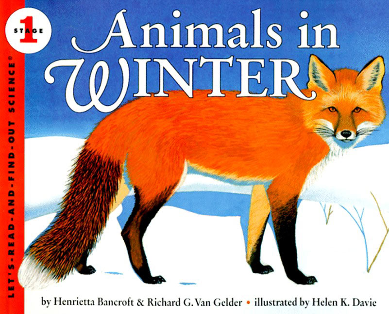 Animals in Winter-Children’s Early years / early learning concepts-買書書 BuyBookBook