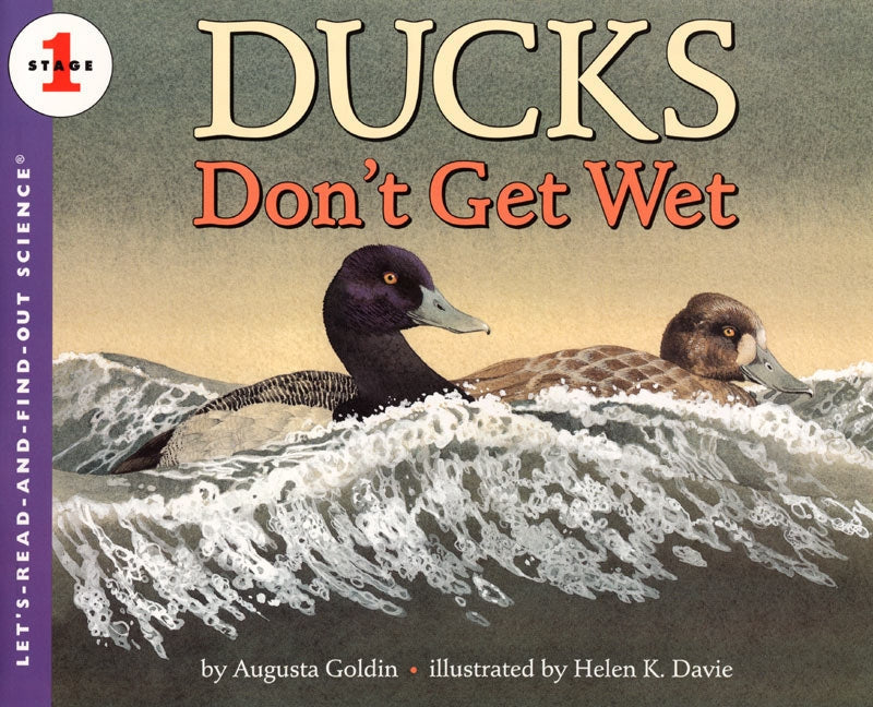 Ducks Don't Get Wet-Children’s Early years / early learning concepts-買書書 BuyBookBook