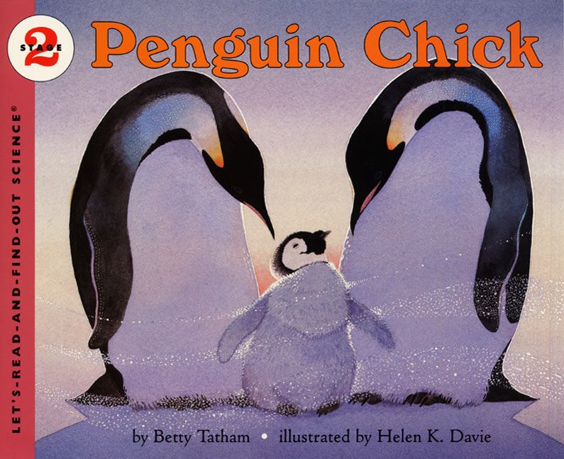 Penguin Chick-Children’s / Teenage general interest: Nature and animals-買書書 BuyBookBook