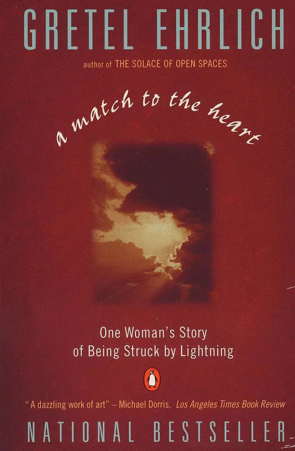 A Match to the Heart-Biography and memoirs-買書書 BuyBookBook