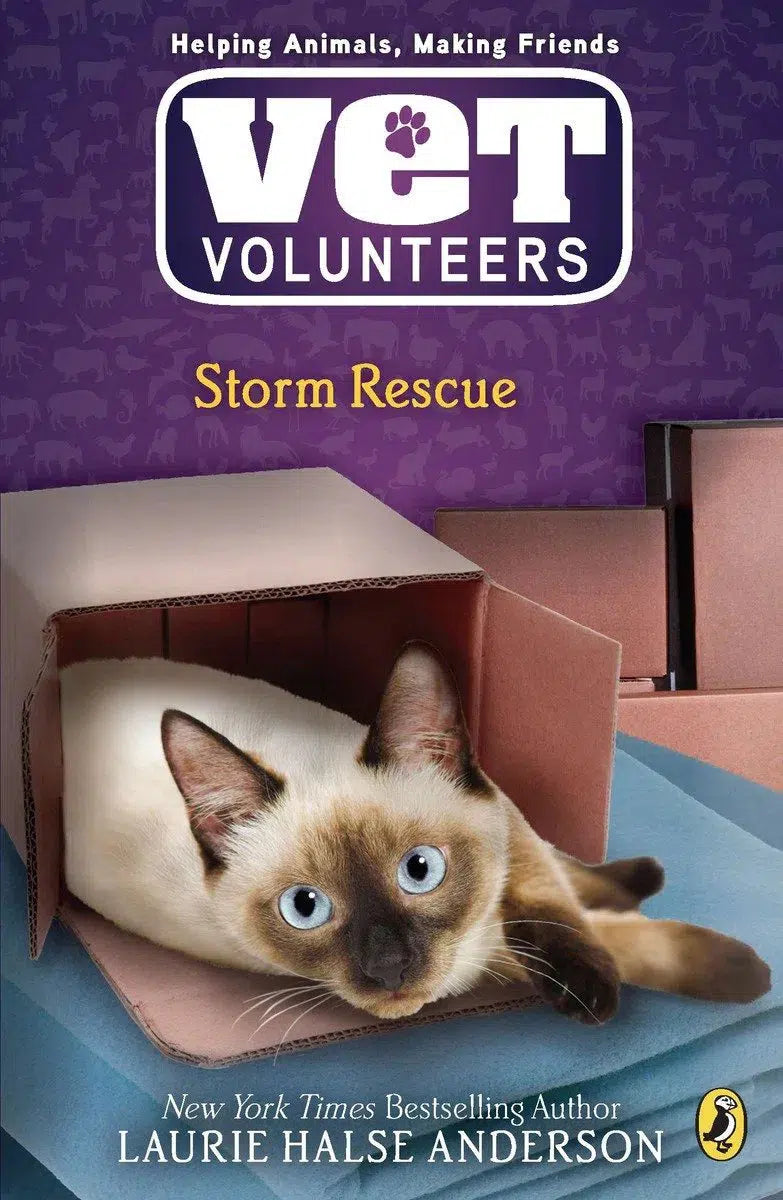 Storm Rescue-Children’s / Teenage fiction: Nature and animal stories-買書書 BuyBookBook