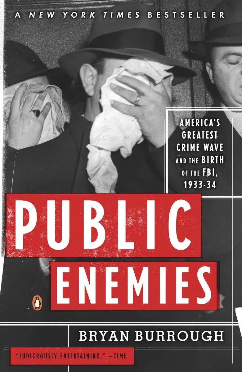 Public Enemies-History and Archaeology-買書書 BuyBookBook