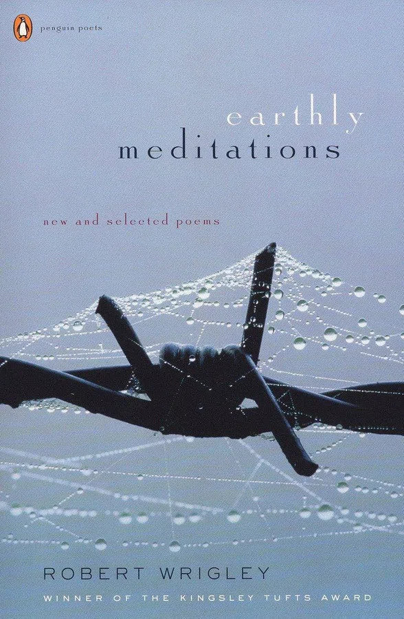 Earthly Meditations-Poetry-買書書 BuyBookBook