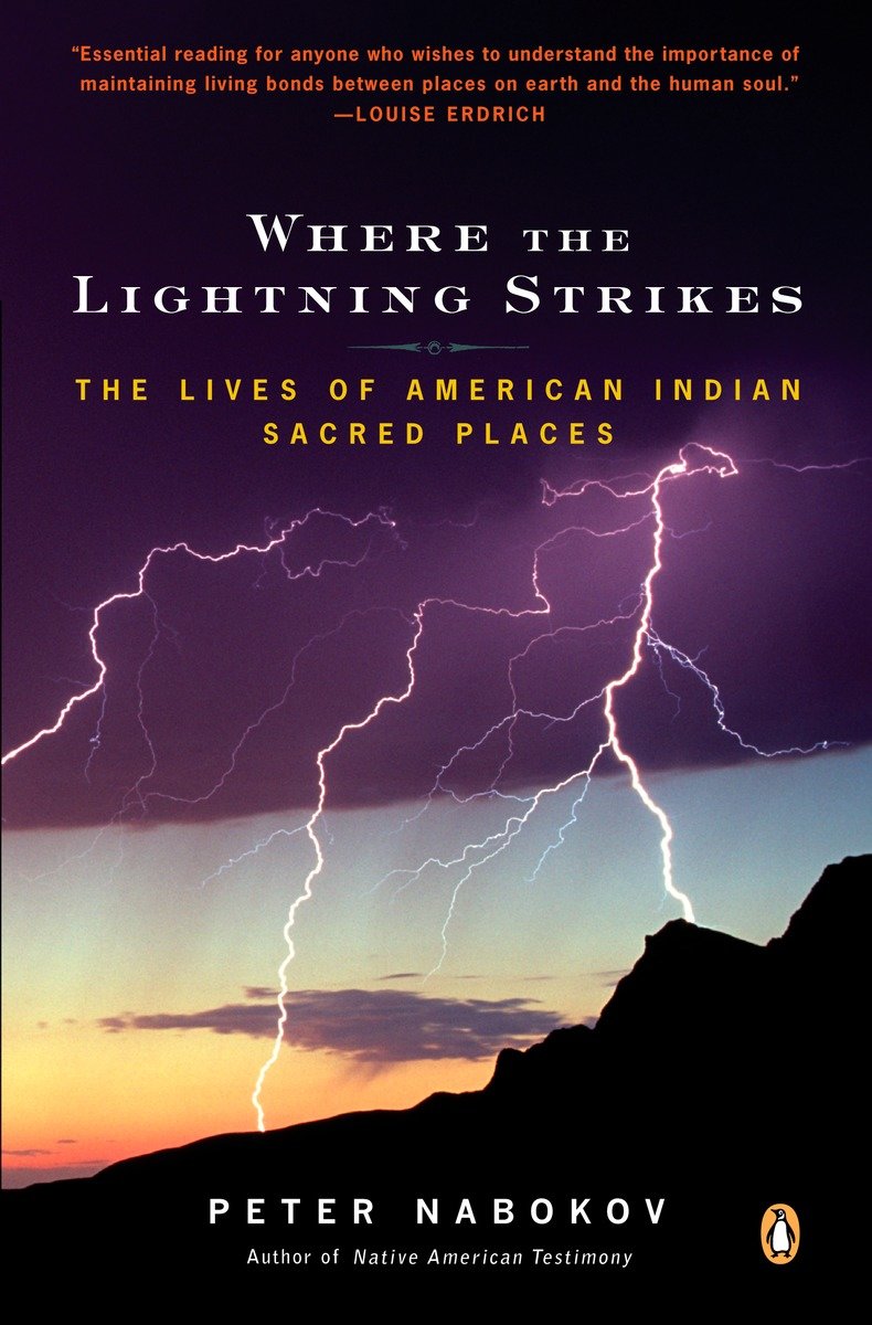 Where the Lightning Strikes-History and Archaeology-買書書 BuyBookBook