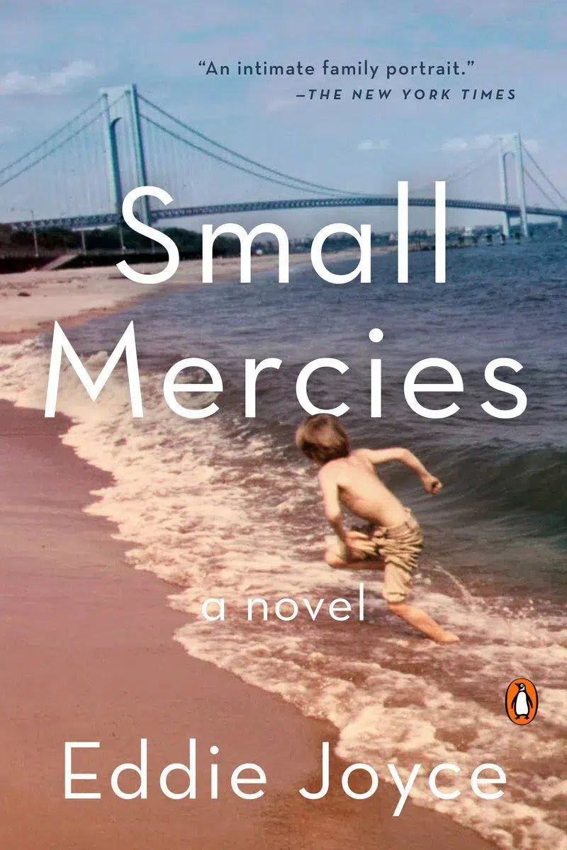 Small Mercies-Fiction: general and literary-買書書 BuyBookBook