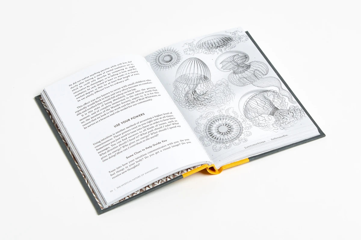 The Wander Society US - Hardback
