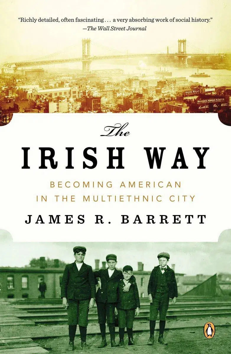 The Irish Way-History and Archaeology-買書書 BuyBookBook