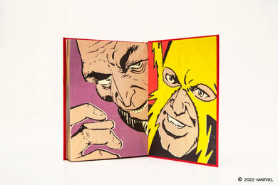 The Amazing Spider-Man US - Hardback