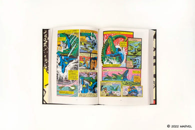 Black Panther US - Hardback