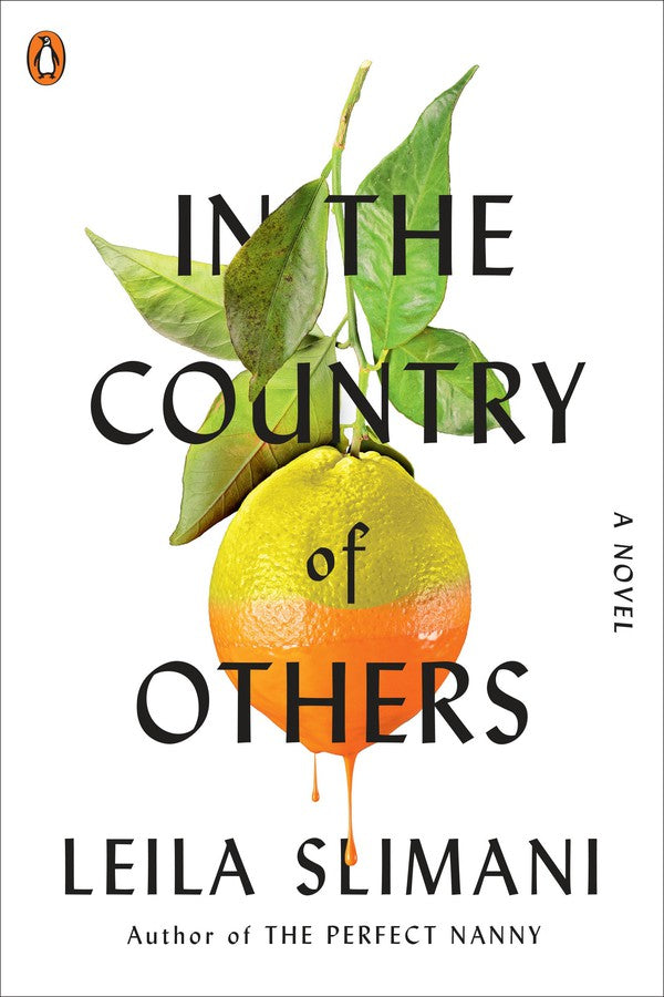 In the Country of Others-Fiction: general and literary-買書書 BuyBookBook