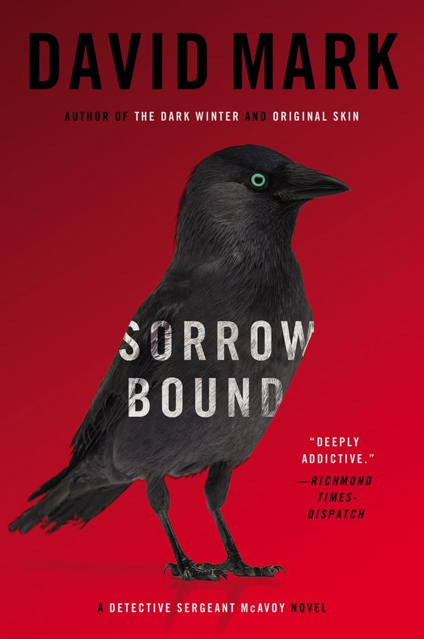 Sorrow Bound-Fiction: Modern and contemporary-買書書 BuyBookBook