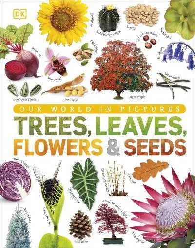 Our World in Pictures: Trees, Leaves, Flowers & Seeds - GB - Hardback
