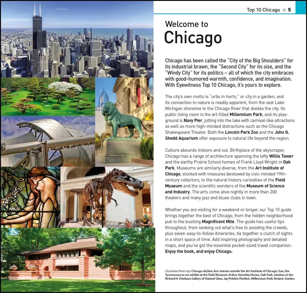 DK Top 10 Chicago