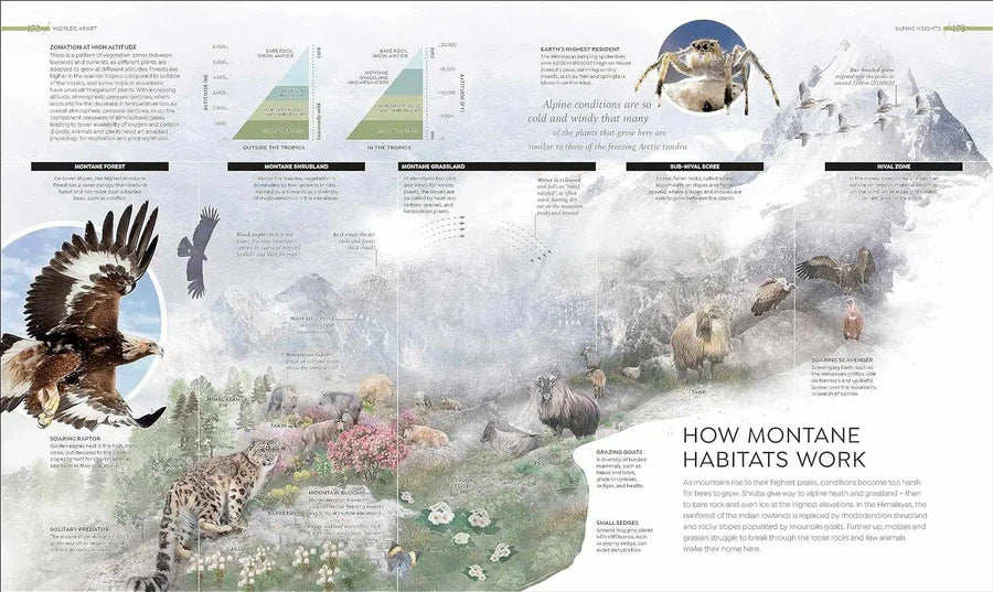 Habitats-Nature and the natural world: general interest-買書書 BuyBookBook