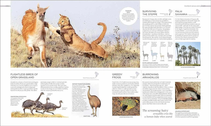 Habitats-Nature and the natural world: general interest-買書書 BuyBookBook