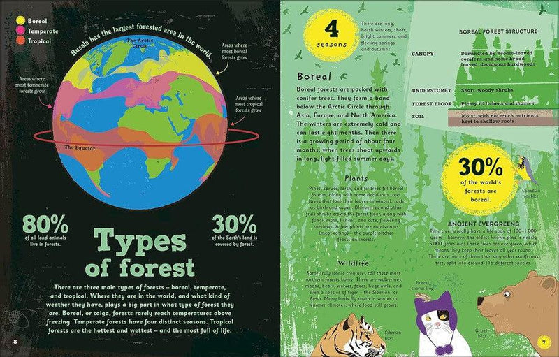 The Magic of Forests-Children’s / Teenage general interest: Nature and animals-買書書 BuyBookBook