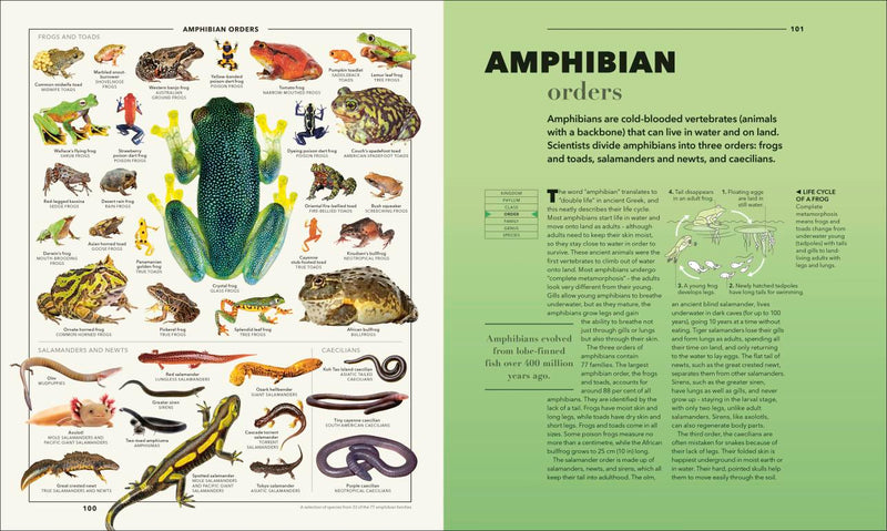 Knowledge A Visual Compendium