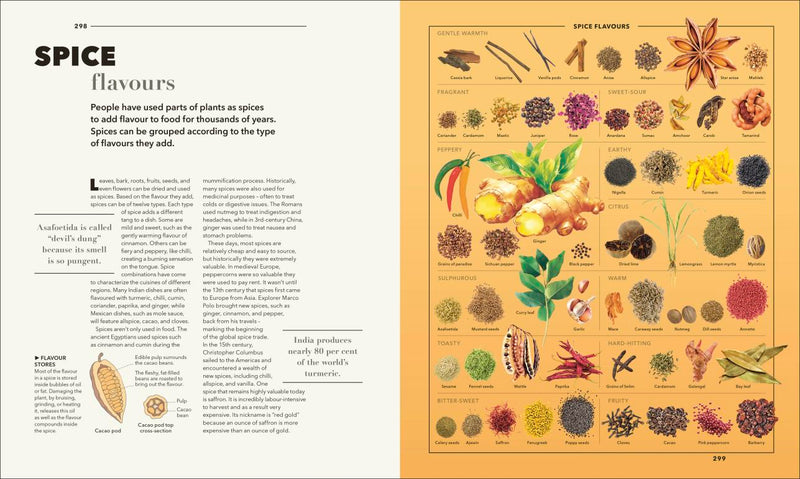 Knowledge A Visual Compendium