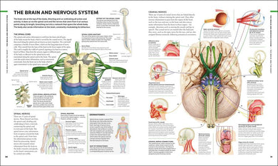 The Human Brain Book