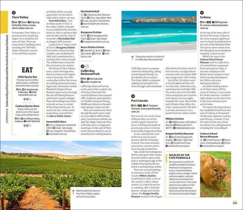 DK Australia US - Paperback / softback