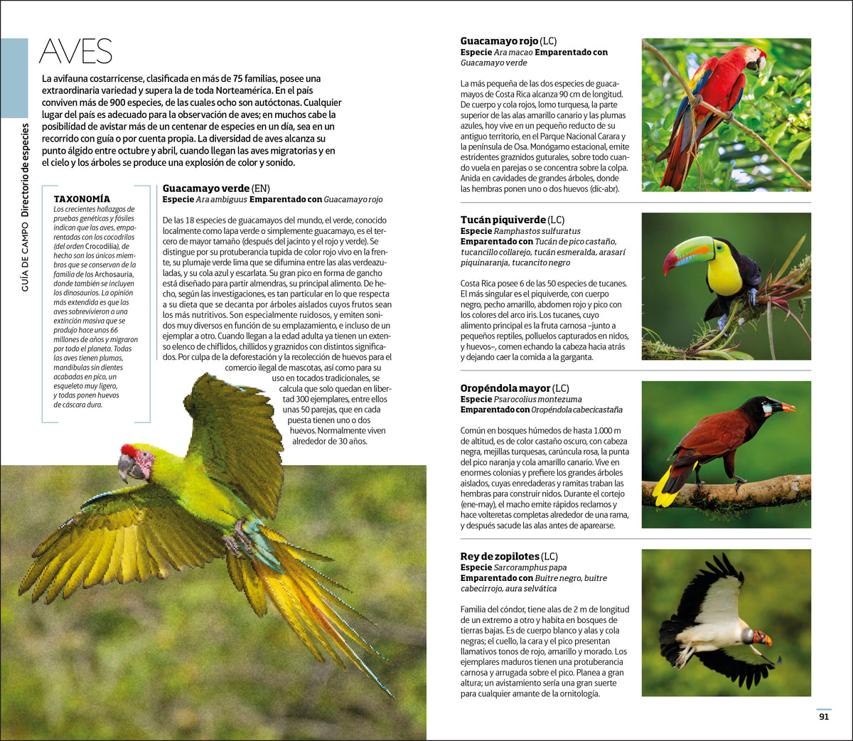 Costa Rica Guía Visual interior 4 (ISBN 9780241682715)