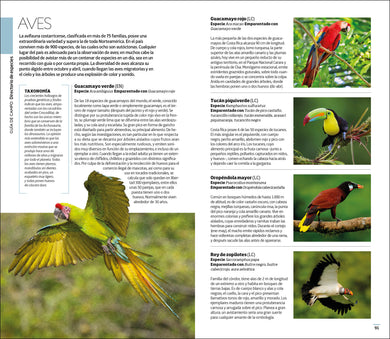 Costa Rica Guía Visual interior 4 (ISBN 9780241682715)