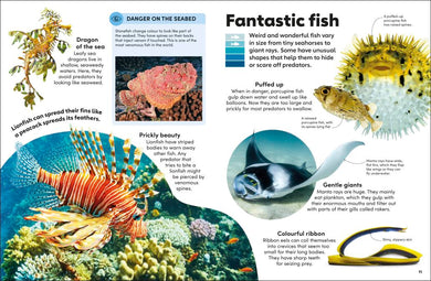 Eyewonder Oceans
