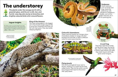 Eyewonder Rainforest-Children’s / Teenage general interest: Nature and animals-買書書 BuyBookBook