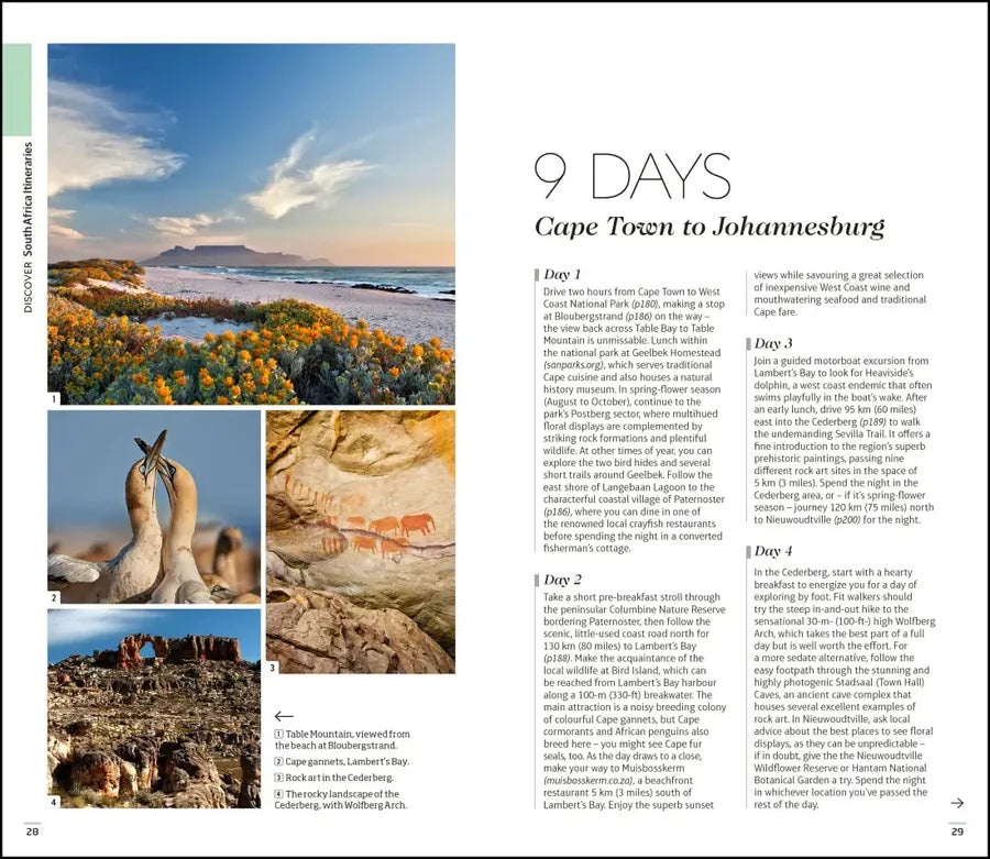 DK South Africa US - Paperback / softback
