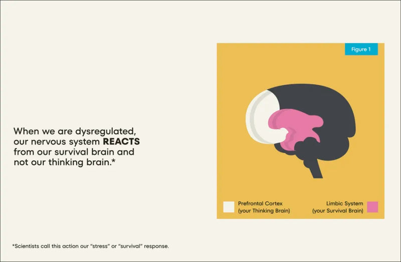 A Kids Book About Nervous System Regulation US - Hardback