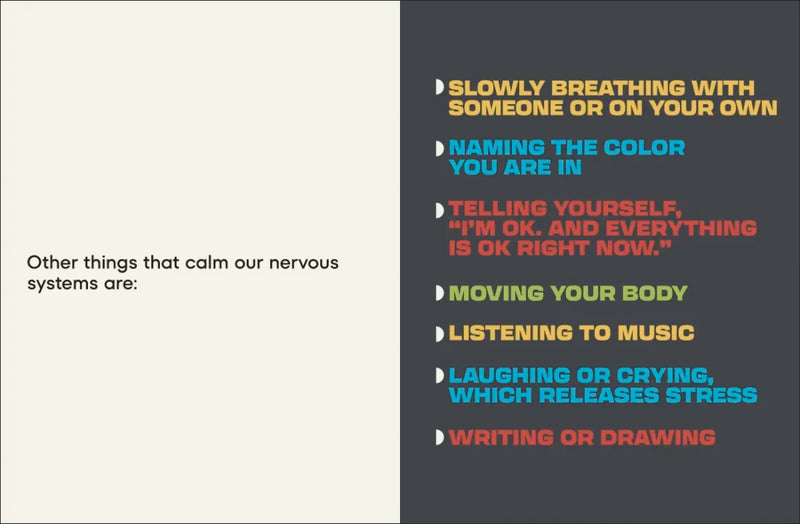 A Kids Book About Nervous System Regulation US - Hardback