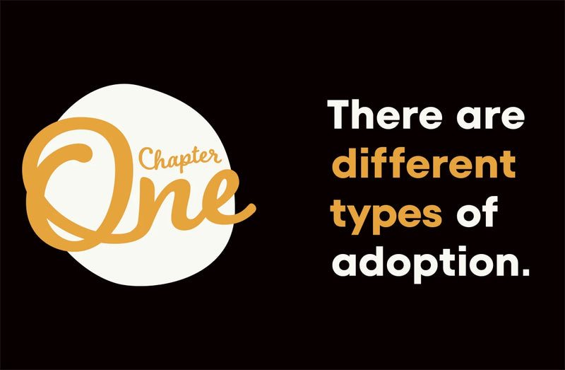 A Kids Book About Adoption US - Hardback