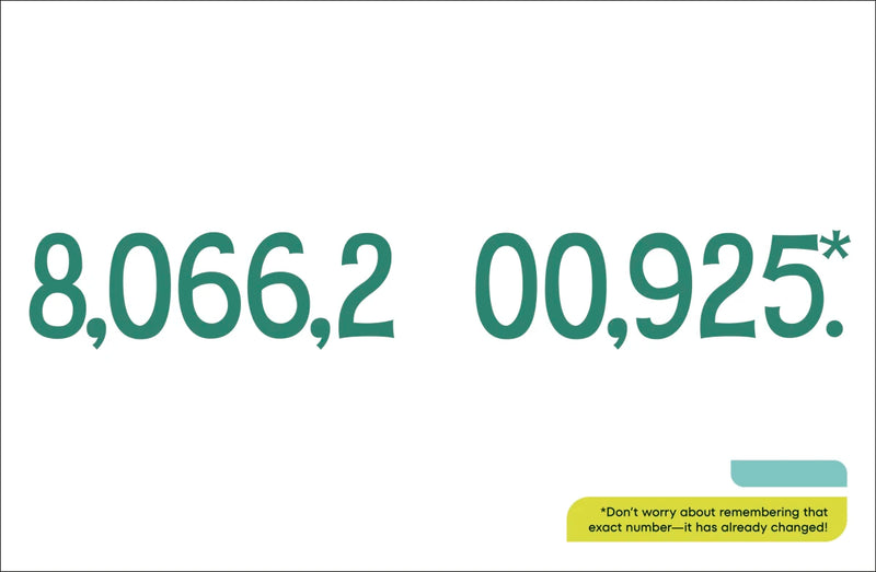 A Kids Book About Sustainability US - Hardback