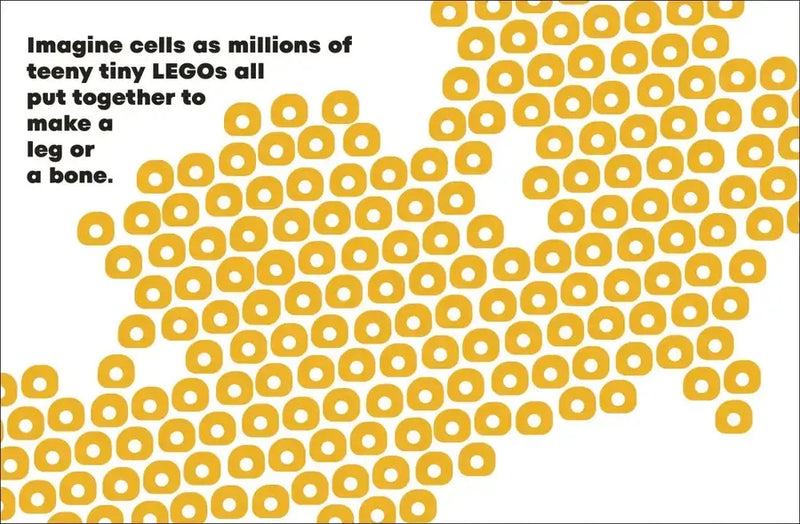 A Kids Book About Cancer US - Hardback