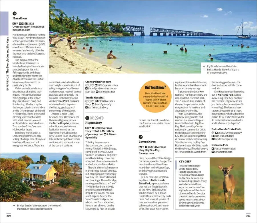 DK Florida US - Paperback / softback (9780241757598)