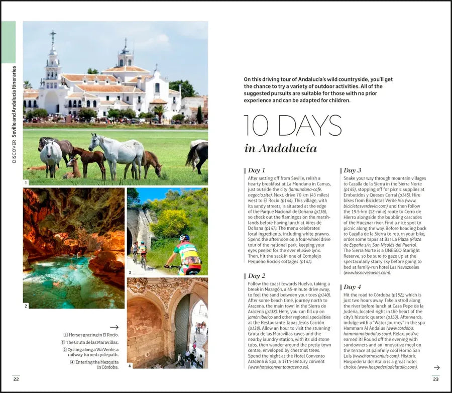DK Seville and Andalucia US - Paperback / softback (9780241784136)