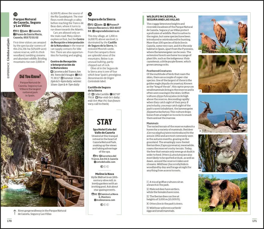 DK Seville and Andalucia US - Paperback / softback (9780241784136)