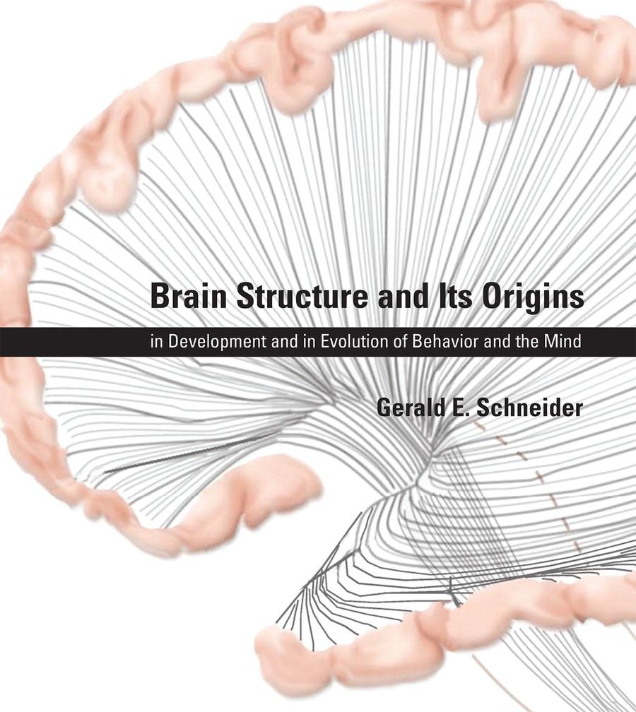 Brain Structure and Its Origins-Mathematics and Science-買書書 BuyBookBook