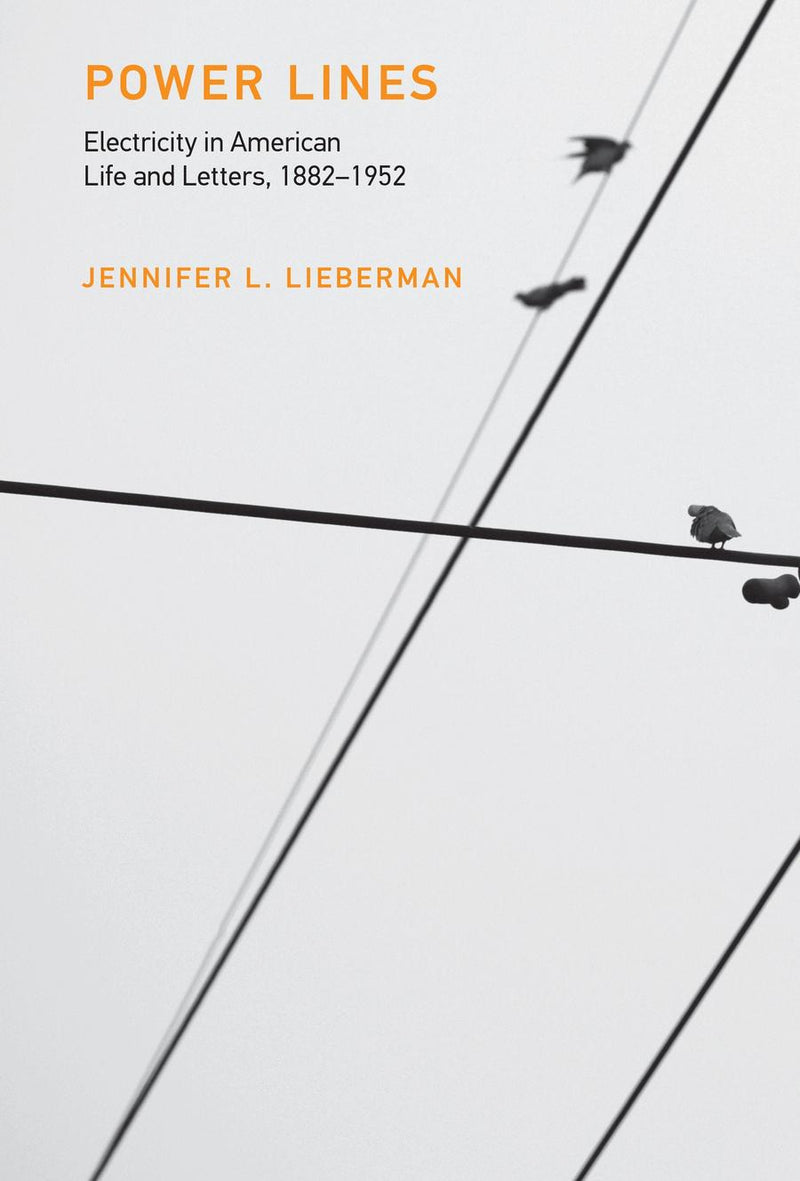 Power Lines-History and Archaeology-買書書 BuyBookBook