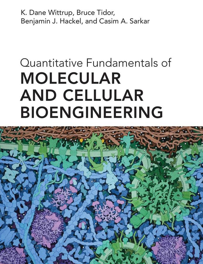 Quantitative Fundamentals of Molecular and Cellular Bioengineering-Mathematics and Science-買書書 BuyBookBook