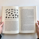 Natural Neuroscience US - Paperback / softback